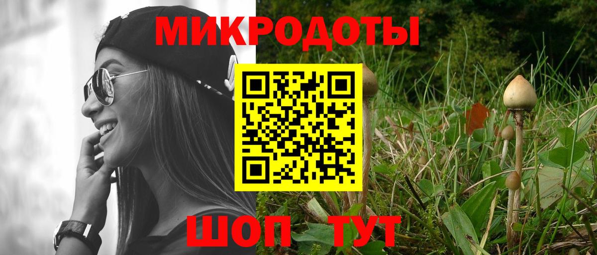 наркота  Вход с VPN  Тимашёвск  Псилоцибиновые грибы Cubensis 