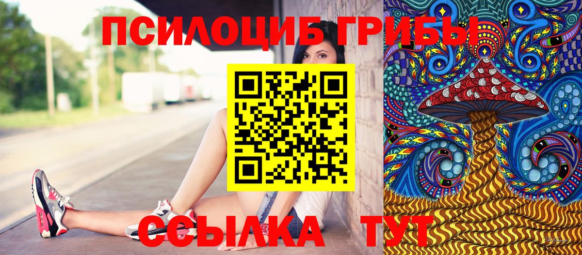 Галлюциногенные грибы прущие грибы Тимашёвск
